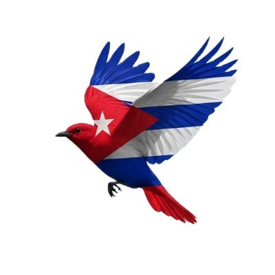 Cubanosalvuelo's profile picture. Información a la carta.