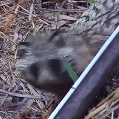 literary_acy's profile picture. 모든 것의 안만 보고 싶은 사람