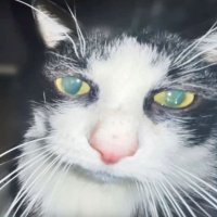 tommie but very very sad :( (@noah_but_sadder) 's Twitter Profile