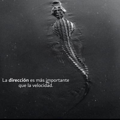 me gusta conocer personas y hacer buenas amistades 💖