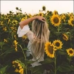 Abauarmo796's profile picture. Gods determine what you're going to be。