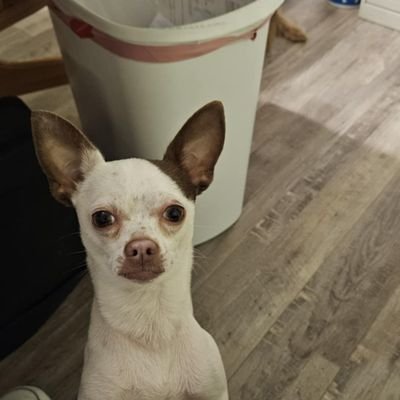 GeraldA76396545's profile picture. for the voting 🗳 one vote one ballot 🗳. we have the voting placements in place and in are precincts.doNot write on my profile, thank you..