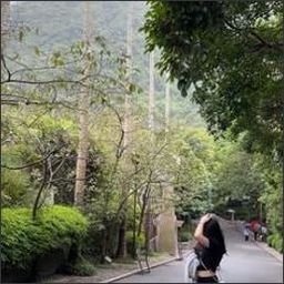 Neecau22886's profile picture. Gods determine what you're going to be。