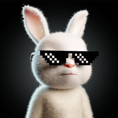 bunny on monad | web3 & crypto ⚡ HispaNads | Discord: ivanx4k