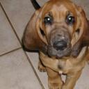 Mike Ellington - @Mikesbrew - Twitter