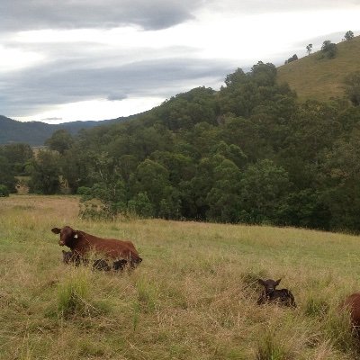 mc_ph58633's profile picture. Feminist from the warrior class 🇦🇺 (((🇺🇦🇨🇦🇪🇺🇬🇧🇳🇿)))