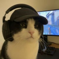 fajar (@tertetsutetsu1) 's Twitter Profile