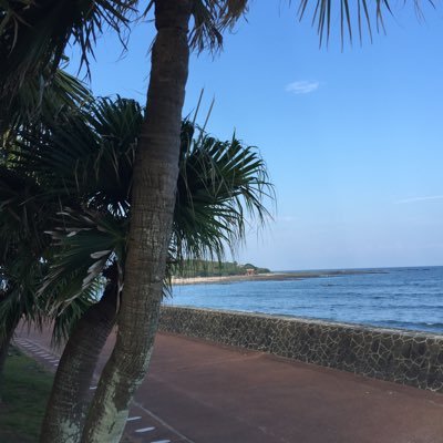 本を読んだり、書いたりします。最近は映画や演芸が特に好きです。ZINE制作も。STUDIO UNDER CONSTRUCTION