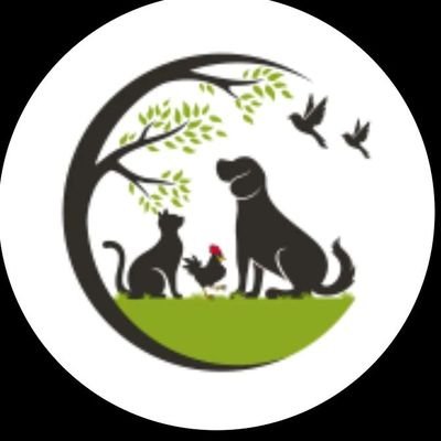 HELLO FRIENDS I AM SORRY FOR INTERRUPTING YOU WE LIVE IN BAD SITUATION, SUPPORT ME AND MY PETS. WE NEED TO PAY OUR LANDLORD AND TO BUY FOOD