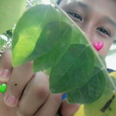 nwrir127915's profile picture. 