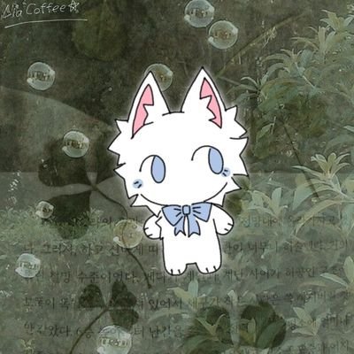 lia cloud ☁さんのプロフィール画像
