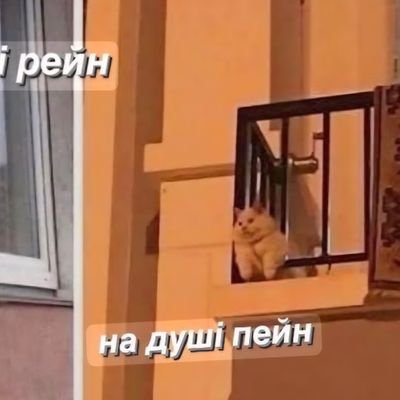 alive_i_harasho's profile picture. тригерний контент (тут про мене я я я)