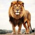 Faizan Ahmed (@faizanahme47549) Twitter profile photo Faizan Ahmed (@faizanahme47549) Twitter profile photo