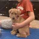 Ruth Hopper - @RuthHopper - Twitter