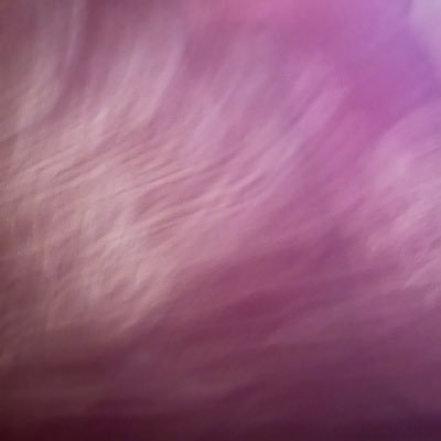 SmithS18016993's profile picture. 