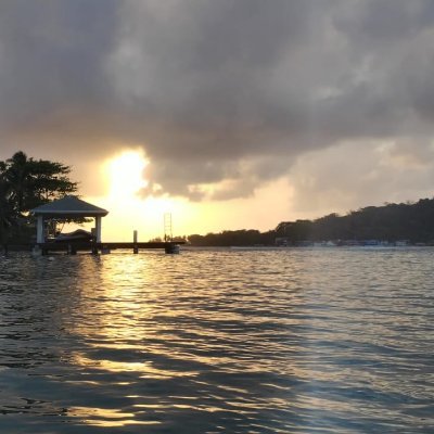 residpalmarview's profile picture. 