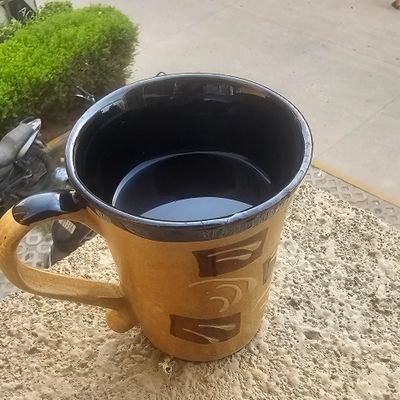 लगा के आग दौलत में हमने ये शोक पाले है यारो ,
कोई पूछे तो कह देना हम बीजेपी वाले है!!
कट्टरतम मोदीभक्त