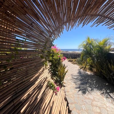 lunito25's profile picture. 