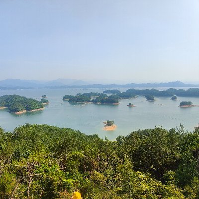 jiwenjun6's profile picture. 关注区块链发展,为区块链发光发热,
