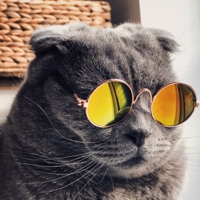 juno1340153's profile picture. 화이팅!
