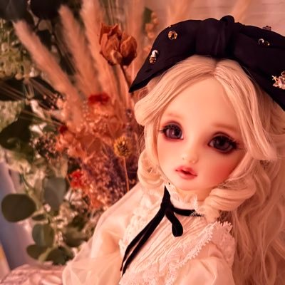 otomegumi.doll  ページ AZONE INTERNATIONAL::えっくす☆きゅーと