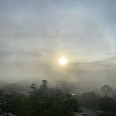 Mieymeng's profile picture. 
