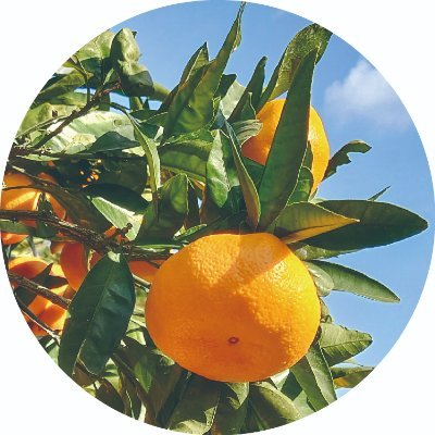 tec_hagi's profile picture. プライズ情報を配信中！DM、リプライの返信＆フォローは致しません。予めご了承ください。