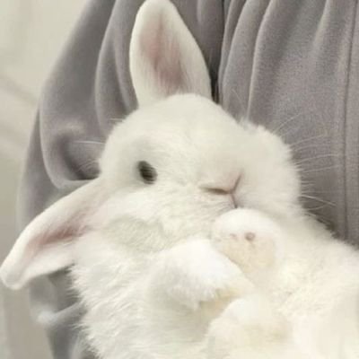 Noahlittlestar's profile picture. 