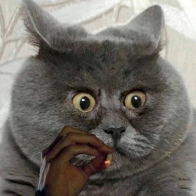 altcoinfl0w's profile picture. here for the Quadrillions.