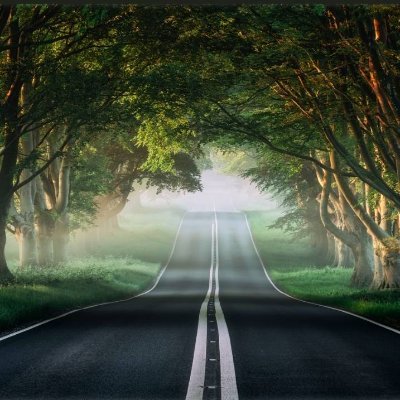 Xj334T94688's profile picture. 花开花落，云卷云舒。