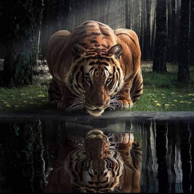Mizzou Soccer Associate Head Coach | Duktig Member use HORTON18 for a discount | Passionate about development | All views are my own