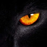 Adrian Garcia (@adrian_gar1311) 's Twitter Profile