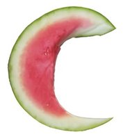 플라스틱캣 (@plasticdosirak) 's Twitter Profile