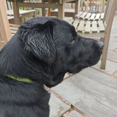 NW Profile