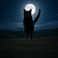 Catfi (@sposport918) 's Twitter Profile