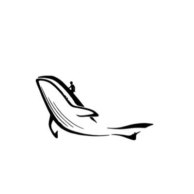 wzxjava's profile picture. 👨‍💼福娃｜📝撸毛