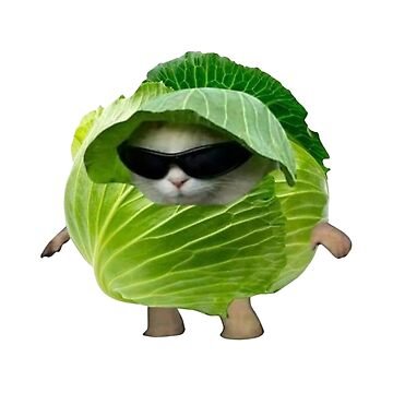 Shubham22619445's profile picture. Nothing happend! ||Defence lober