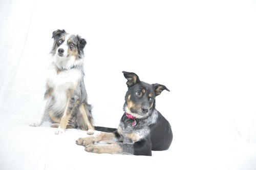 Ticktockphoto's profile picture. Event photography - check us out!