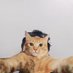 Ndott (@_hendraagunawan) Twitter profile photo Ndott (@_hendraagunawan) Twitter profile photo