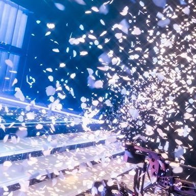 主にキャスの交流用となってきた アカウント//🐋枠…ローリエでハピナスで宮野でテレビ横の観葉植物です- ̗̀ ෆ( ˶'ᵕ'˶)ෆ ̖́-