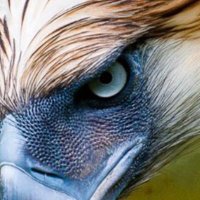 Emir Zormen (@ezormen) Twitter profile photo