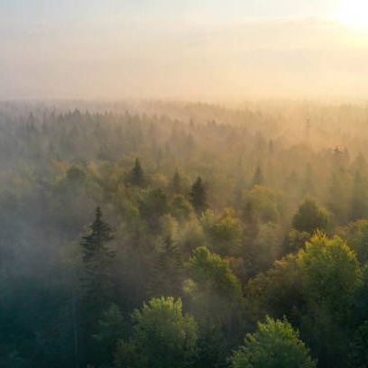 coswaves's profile picture. Trading crypto and stocks