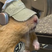 Kamilla (@kamillacryptoq) 's Twitter Profile
