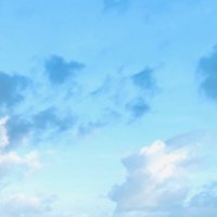 Mimu (@mimu18895746) 's Twitter Profile