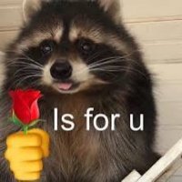 JumboVT (@jumbo_raccoon) 's Twitter Profile Photo