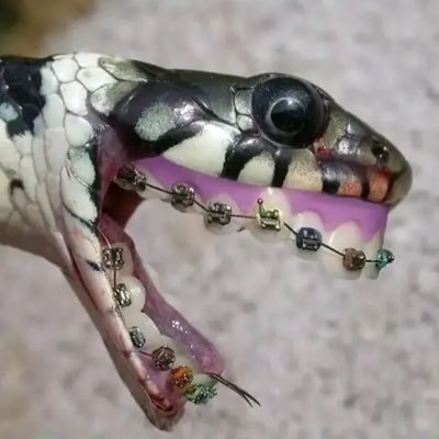 Cafran3D's profile picture. 3D Artist