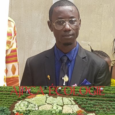 gestor en el supermercado RAYAN de Bangui, controlador en ENP RCA Visión 2050, fundador de Ajpca ecología y decorador de mesa de honor.