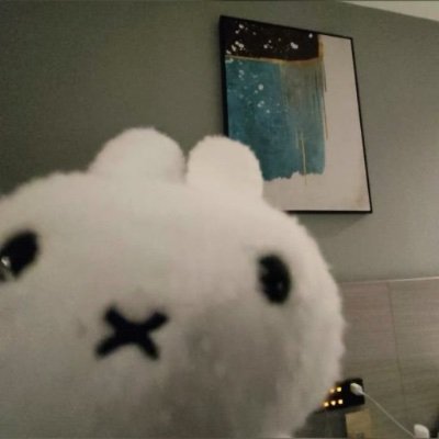 비스트 하이라이트