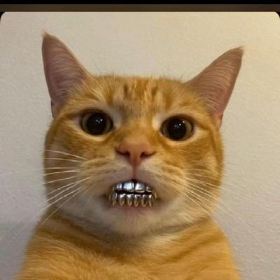 arc_Nuell's profile picture. I am a human.