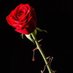 Abhi Raj (@abhiraj12452) Twitter profile photo Abhi Raj (@abhiraj12452) Twitter profile photo
